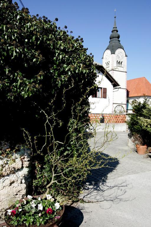 Baroque Villa Near Bled - Resort Vidmar Lesce  Exteriér fotografie